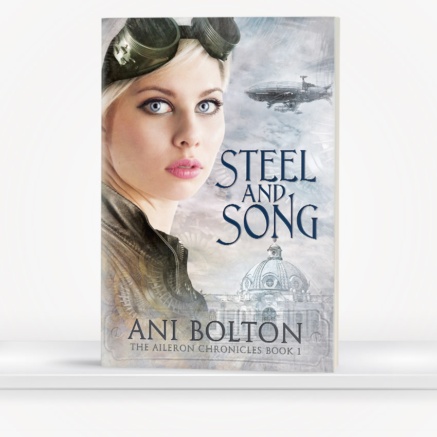 Steel and Song by Ani Bolton