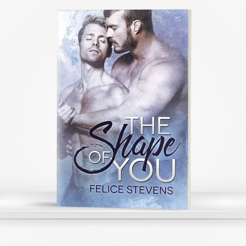 The Shape of You by Felice Stevens